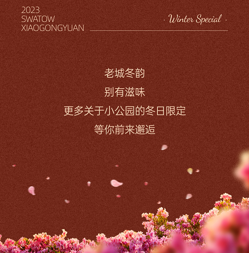 微信图片_20231218091930.png