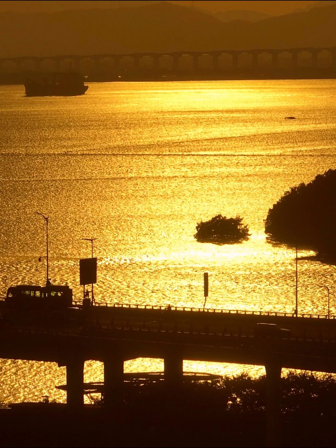 1768034694412158.jpg 1768034694412158.jpg