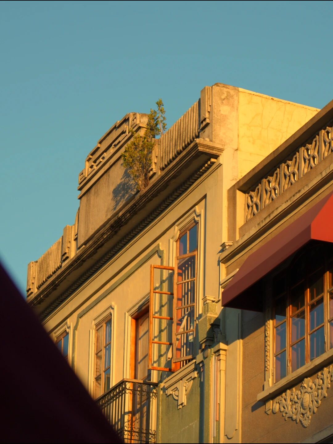 1768034719369615.jpg 1768034719369615.jpg