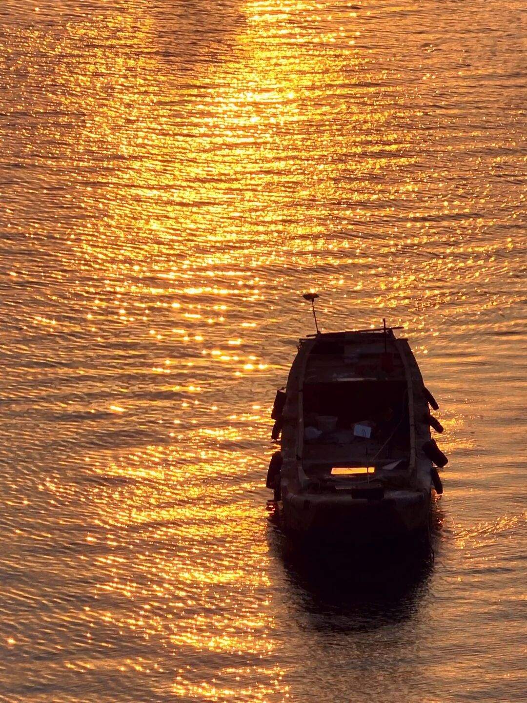来金平邂逅金色浪漫