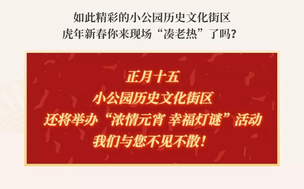 这个春节，小公园人气爆棚，虎力全开过大年